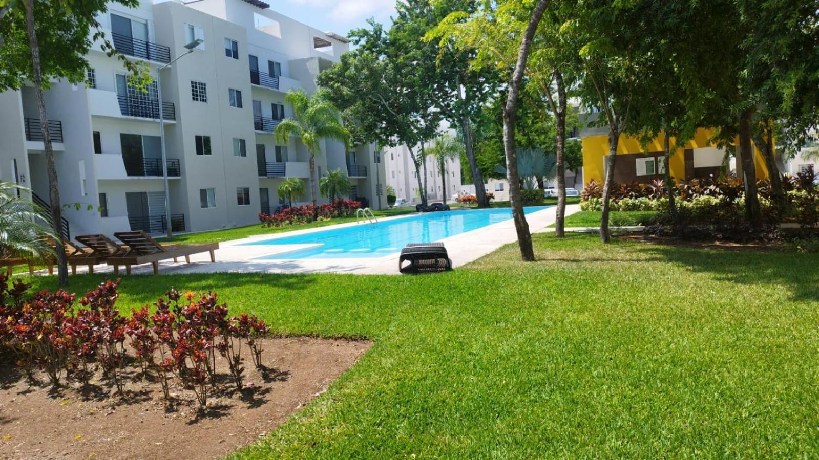 דירות Vive Tus Vacaciones, Depa Nuevo פלאייה דל כרמן מראה חיצוני תמונה